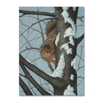 Zaštitni znak likovna umjetnost 'Što se događa - FO Squirrel' Canvas Art by Robert Wavra