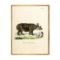 Drevni nosorog uokvirena slika platno umjetnički tisak