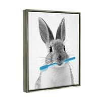 Stupell Industries Bunny četkica za zube Kupaonice životinje i insekti Slikanje sivog plutara uokvirenog umjetničkog