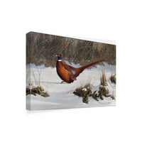 Zaštitni znak likovna umjetnost 'zimska šetnja fazana' platno umjetnost by wilhelm goebel