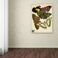 Zaštitni znak likovna umjetnost 'Papillons 12' platno umjetnost by Vintage Apple Collection